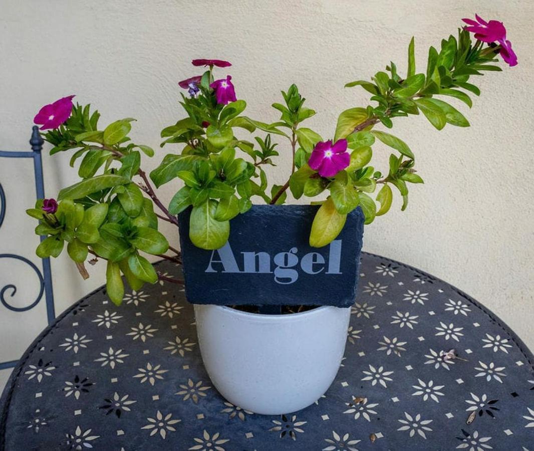 Angel @ Aragon Court Apartman Marsascala Kültér fotó